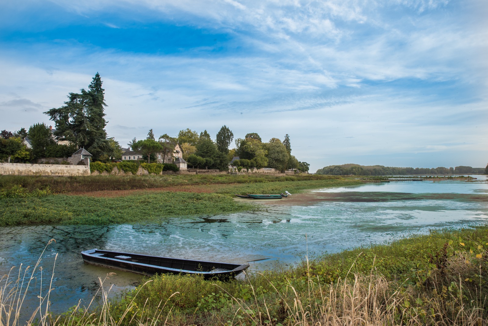 Vue panoramique sur la Maine et la Pointe de Bouchemaine, site emblématique